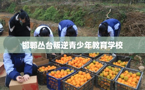 邯郸丛台叛逆青少年教育学校