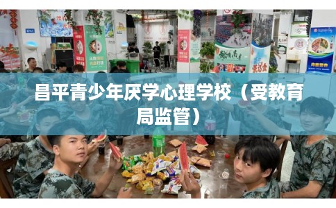 昌平青少年厌学心理学校（受教育局监管）