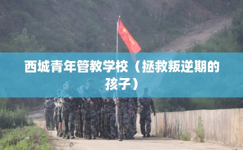 西城青年管教学校（拯救叛逆期的孩子）