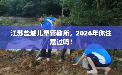 江苏盐城儿童管教所，2026年你注意过吗！