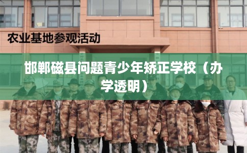 邯郸磁县问题青少年矫正学校(办学透明) 邯郸磁县问题青少年矫正学校(办学透明)