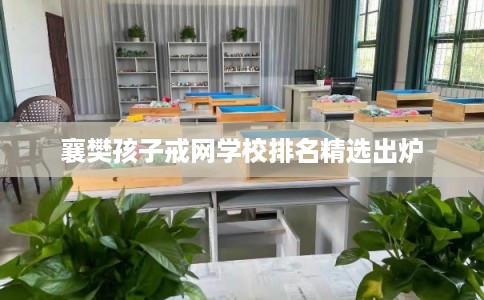 襄樊孩子戒网学校排名精选出炉 襄樊孩子戒网学校排名精选出炉