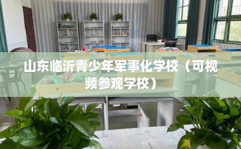 山东临沂青少年军事化学校(可视频参观学校) 山东临沂青少年军事化学校(可视频参观学校)