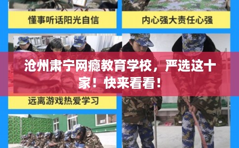沧州肃宁网瘾教育学校，严选这十家！快来看看！