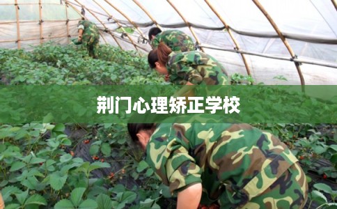 荆门心理矫正学校 荆门心理矫正学校
