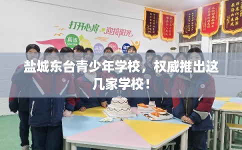 盐城东台青少年学校,权威推出这几家学校! 盐城东台青少年学校,权威推出这几家学校!