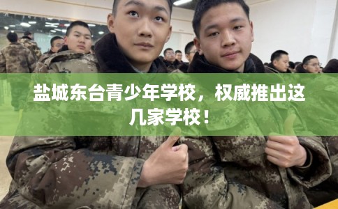 盐城东台青少年学校，权威推出这几家学校！