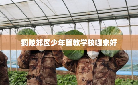 铜陵郊区少年管教学校哪家好