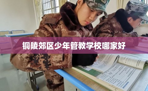 铜陵郊区少年管教学校哪家好