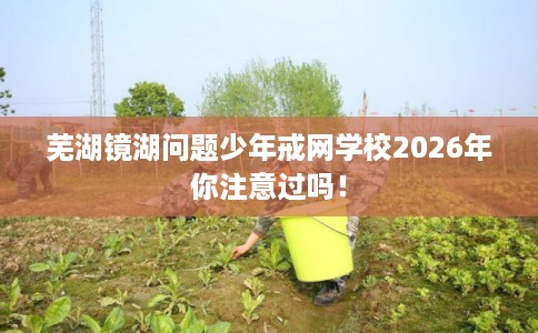 芜湖镜湖问题少年戒网学校2026年你注意过吗！