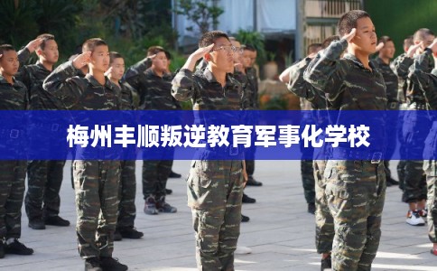 梅州丰顺叛逆教育军事化学校 梅州丰顺叛逆教育军事化学校