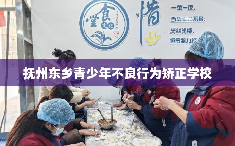 抚州东乡青少年不良行为矫正学校 抚州东乡青少年不良行为矫正学校