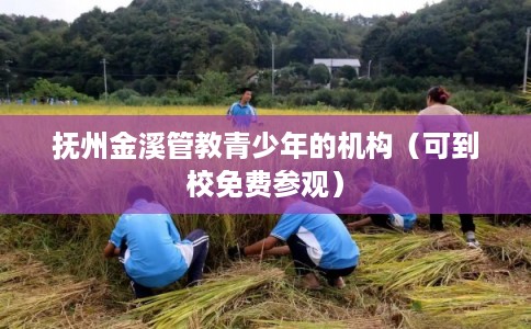 抚州金溪管教青少年的机构(可到校免费参观) 抚州金溪管教青少年的机构(可到校免费参观)