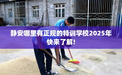 静安哪里有正规的特训学校2025年快来了解!