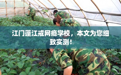 江门蓬江戒网瘾学校，本文为您细致实测！