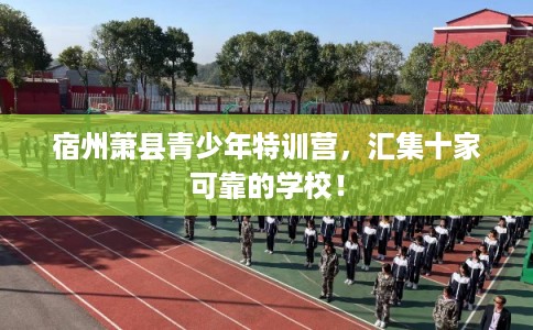 宿州萧县青少年特训营,汇集十家可靠的学校! 宿州萧县青少年特训营,汇集十家可靠的学校!
