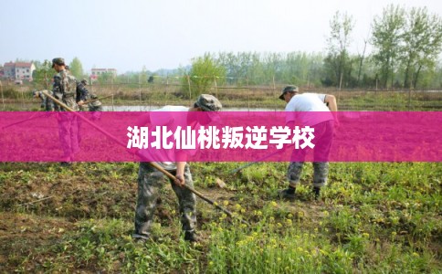 湖北仙桃叛逆学校