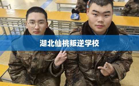 湖北仙桃叛逆学校