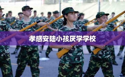 孝感安陆小孩厌学学校 孝感安陆小孩厌学学校