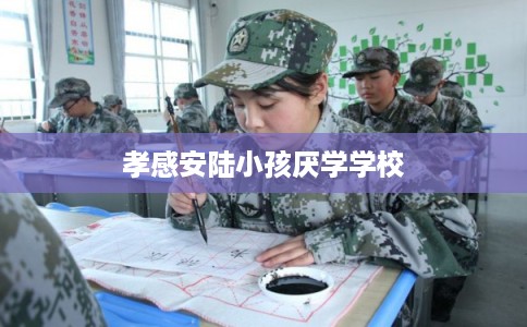 孝感安陆小孩厌学学校 孝感安陆小孩厌学学校