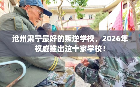 沧州肃宁最好的叛逆学校，2026年权威推出这十家学校！