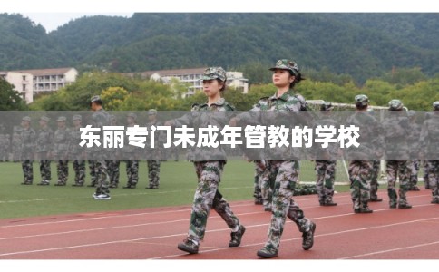 东丽专门未成年管教的学校