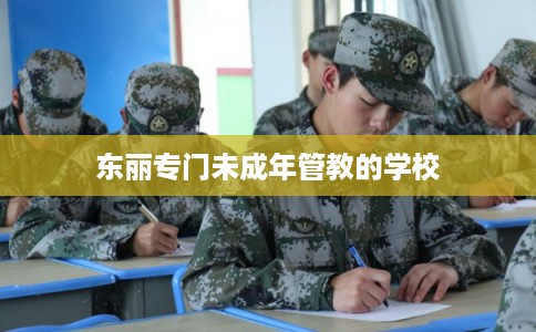 东丽专门未成年管教的学校