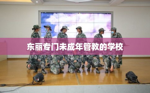 东丽专门未成年管教的学校