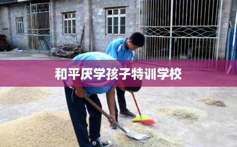 和平厌学孩子特训学校