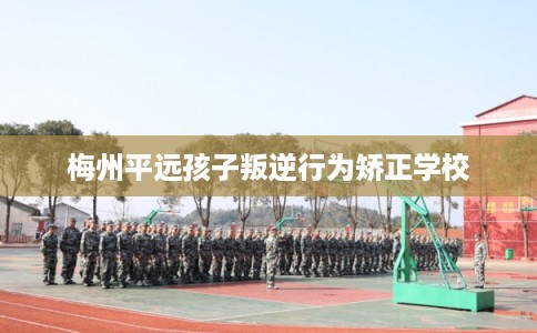 梅州平远孩子叛逆行为矫正学校 梅州平远孩子叛逆行为矫正学校