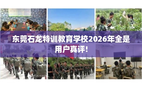 东莞石龙特训教育学校2026年全是用户真评!