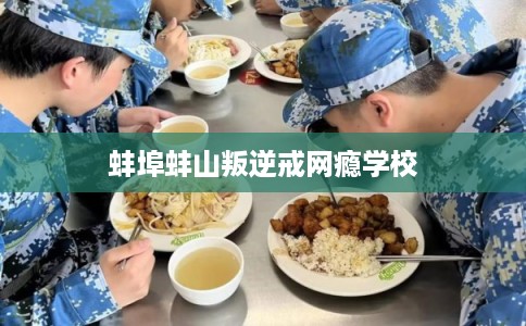 蚌埠蚌山叛逆戒网瘾学校 蚌埠蚌山叛逆戒网瘾学校
