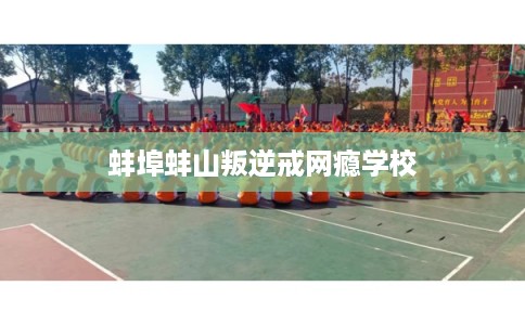 蚌埠蚌山叛逆戒网瘾学校 蚌埠蚌山叛逆戒网瘾学校