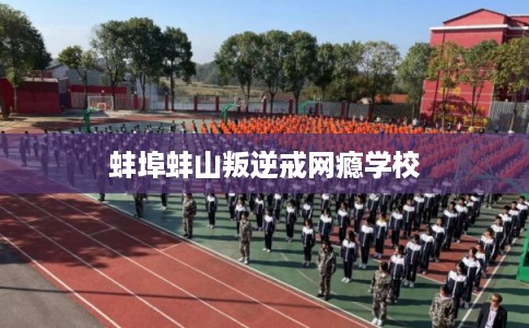 蚌埠蚌山叛逆戒网瘾学校 蚌埠蚌山叛逆戒网瘾学校