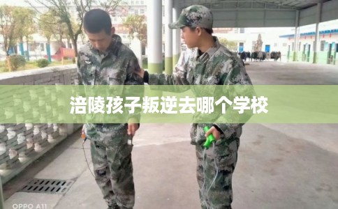 涪陵孩子叛逆去哪个学校 涪陵孩子叛逆去哪个学校