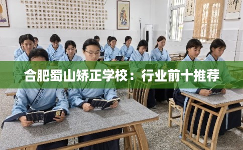 合肥蜀山矫正学校：行业前十推荐