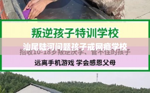 汕尾陆河问题孩子戒网瘾学校 汕尾陆河问题孩子戒网瘾学校