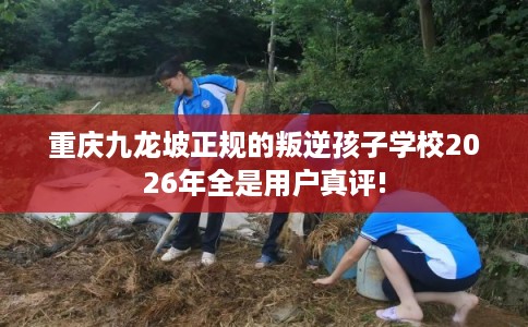 重庆九龙坡正规的叛逆孩子学校2026年全是用户真评!