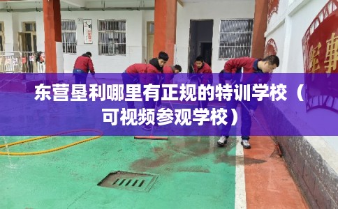 东营垦利哪里有正规的特训学校（可视频参观学校）