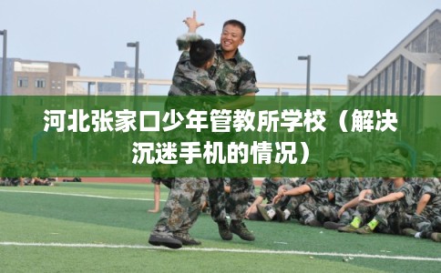 河北张家口少年管教所学校（解决沉迷手机的情况）