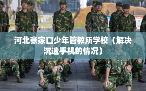 河北张家口少年管教所学校（解决沉迷手机的情况）