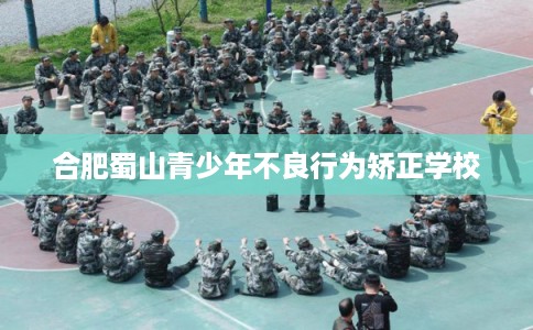 合肥蜀山青少年不良行为矫正学校