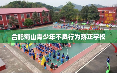 合肥蜀山青少年不良行为矫正学校