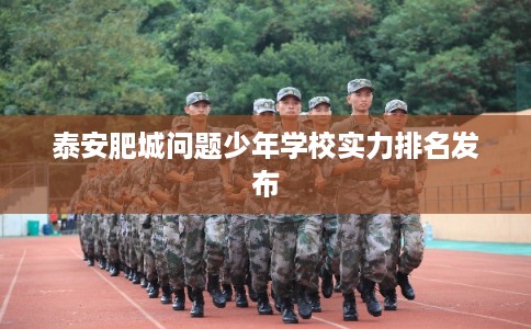 泰安肥城问题少年学校实力排名发布 泰安肥城问题少年学校实力排名发布
