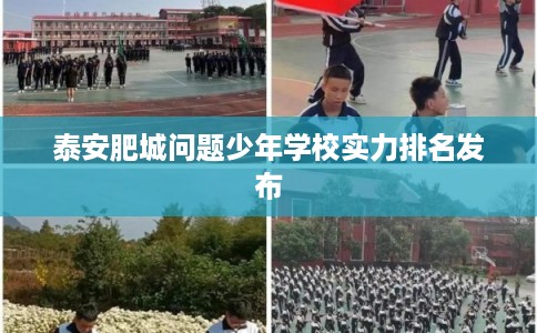 泰安肥城问题少年学校实力排名发布