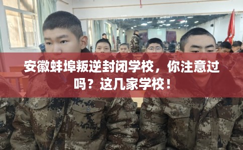 安徽蚌埠叛逆封闭学校，你注意过吗？这几家学校！