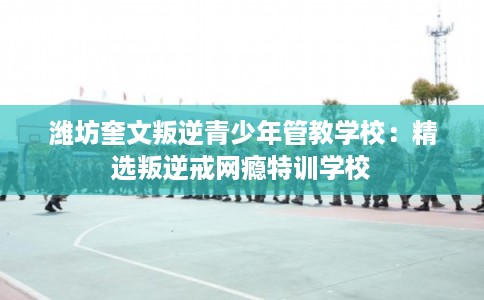 潍坊奎文叛逆青少年管教学校：精选叛逆戒网瘾特训学校