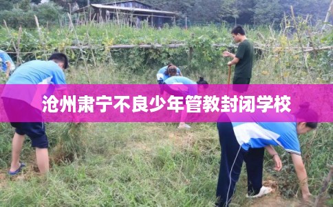 沧州肃宁不良少年管教封闭学校 沧州肃宁不良少年管教封闭学校