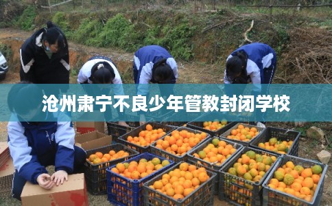沧州肃宁不良少年管教封闭学校 沧州肃宁不良少年管教封闭学校