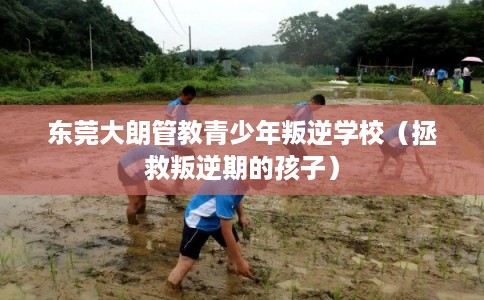 东莞大朗管教青少年叛逆学校（拯救叛逆期的孩子）